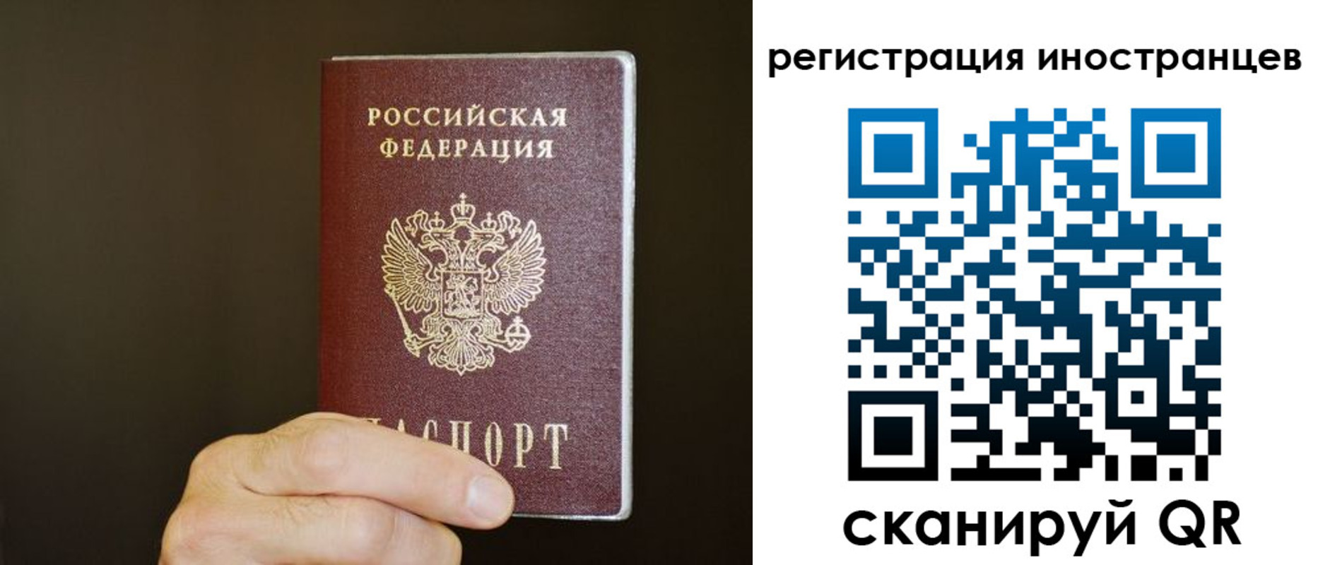 прописка в Николаевске